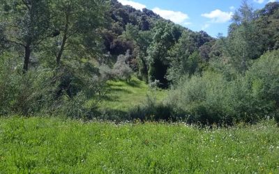 EXCURSIÓN Y CONVIVENCIA ZAMBRA 2 MAYO 2021