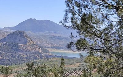 EXCURSIÓN Y CONVIVENCIA SINGLE 16 MAYO CUEVAS DE SAN MARCOS