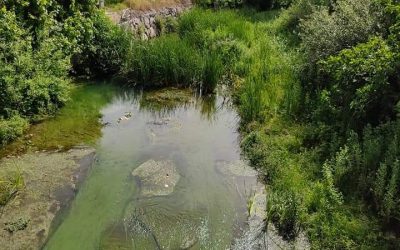 EXCURSIÓN Y CONVIVENCIA SINGLE 30 MAYO CASTILLO LOCUBÍN