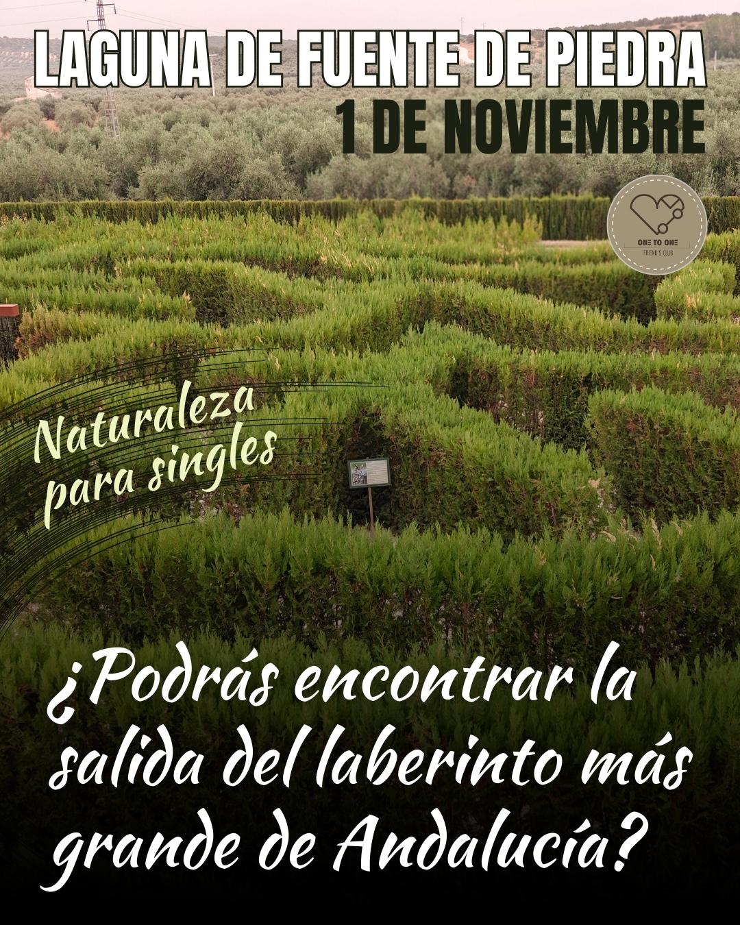 grupo singles andalucia grupo singles andalucia