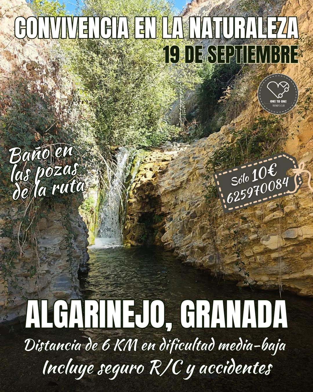actividades solteros